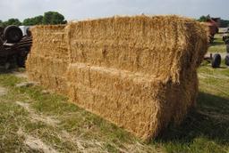Straw Bales (sell 8 times the money)