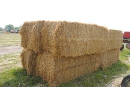 Straw Bales (sell 8 times the money)