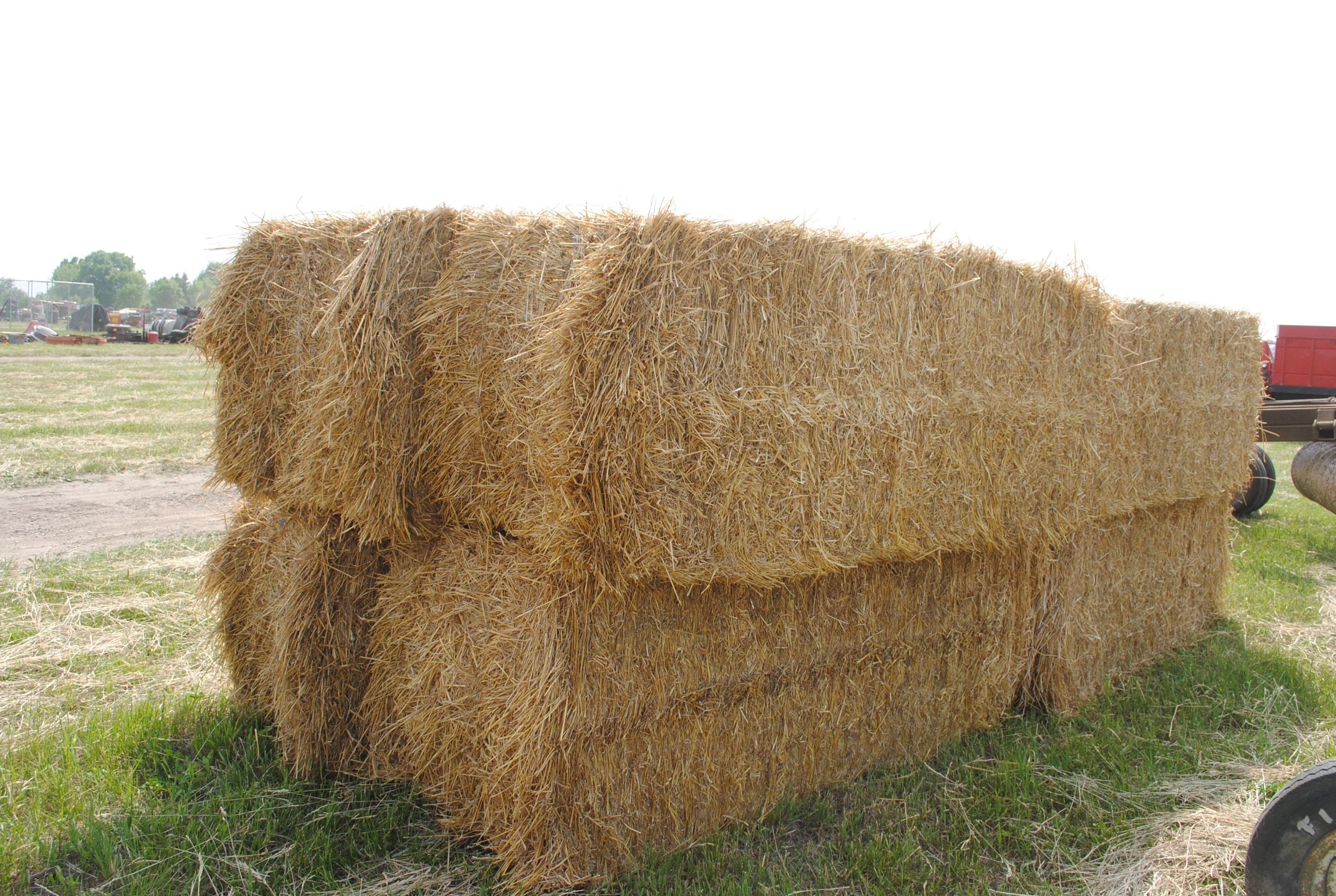 Straw Bales (sell 8 times the money)