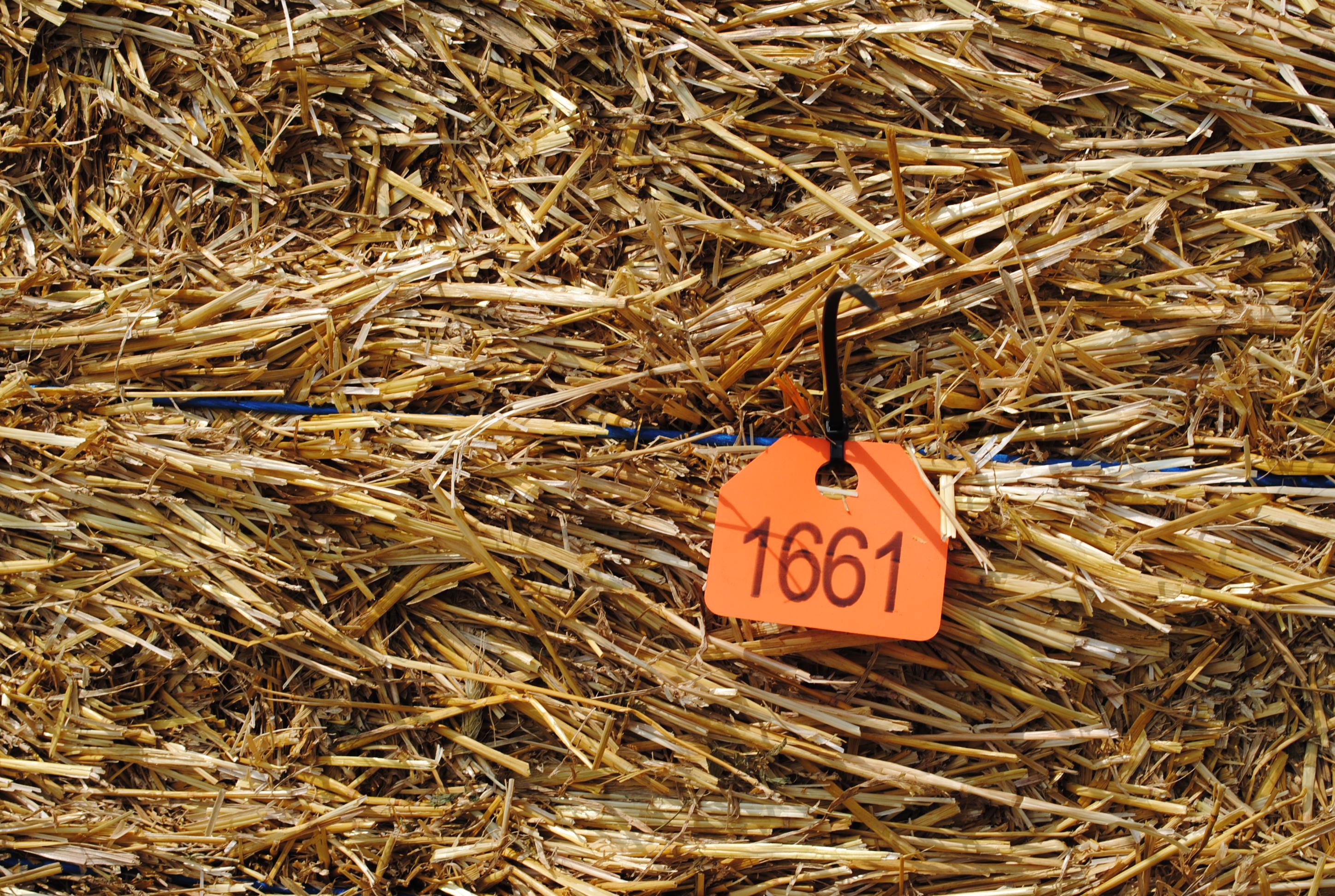 Straw Bales (sell 8 times the money)