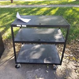 VIDEO CART ON WHEELS
