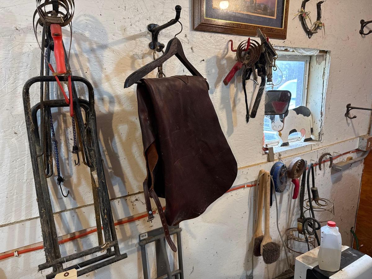 Assortment of Horse Tack and more