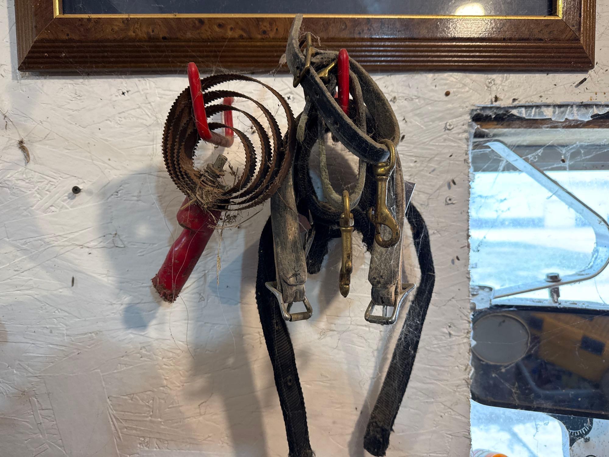 Assortment of Horse Tack and more