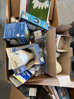 Large Assortment of Light Bulbs