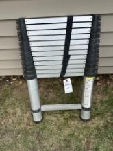 Telescoping ladder