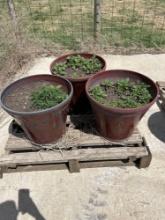 3 large flower planters