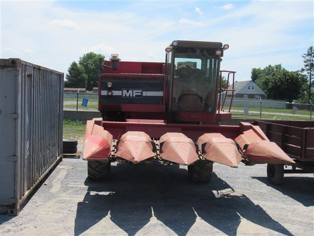 MF540 Combine w/ MF 43 4R corn head