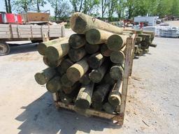 Fence Post (35)