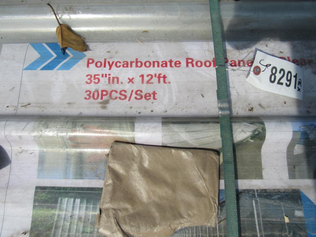 12' x 3' Clear Polycarbonate Roof Panel