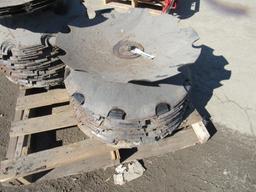 Case Disc