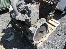 Cummins B3.3L Engine