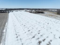 Tract 1 - 40 acres±