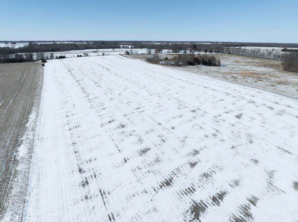 Tract 1 - 40 acres±