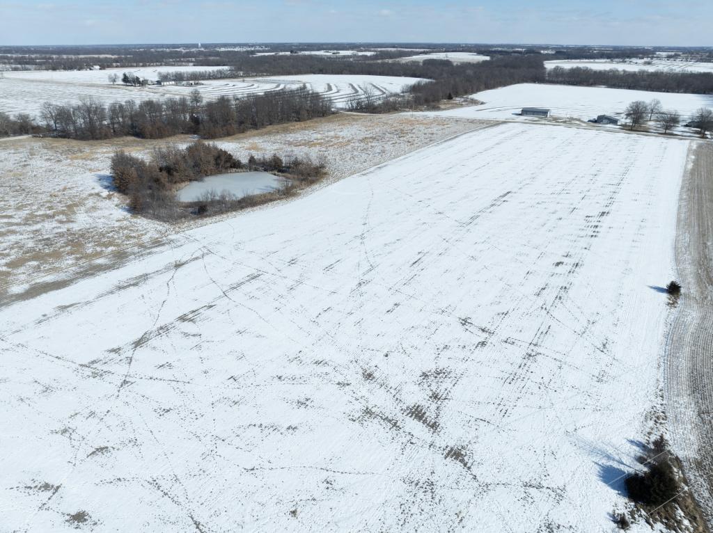 Tract 1 - 40 acres±