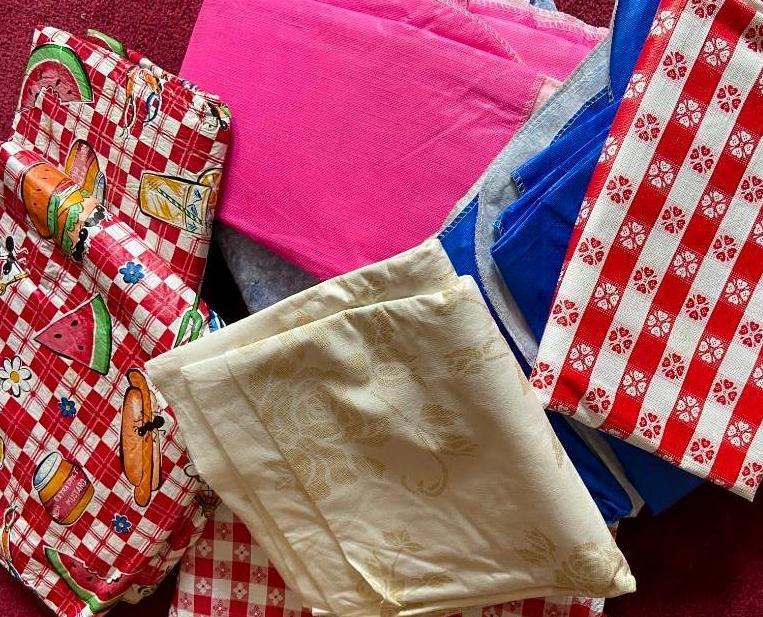 Outdoor Party! Table Cloths, Napkins, Bowls and Trays