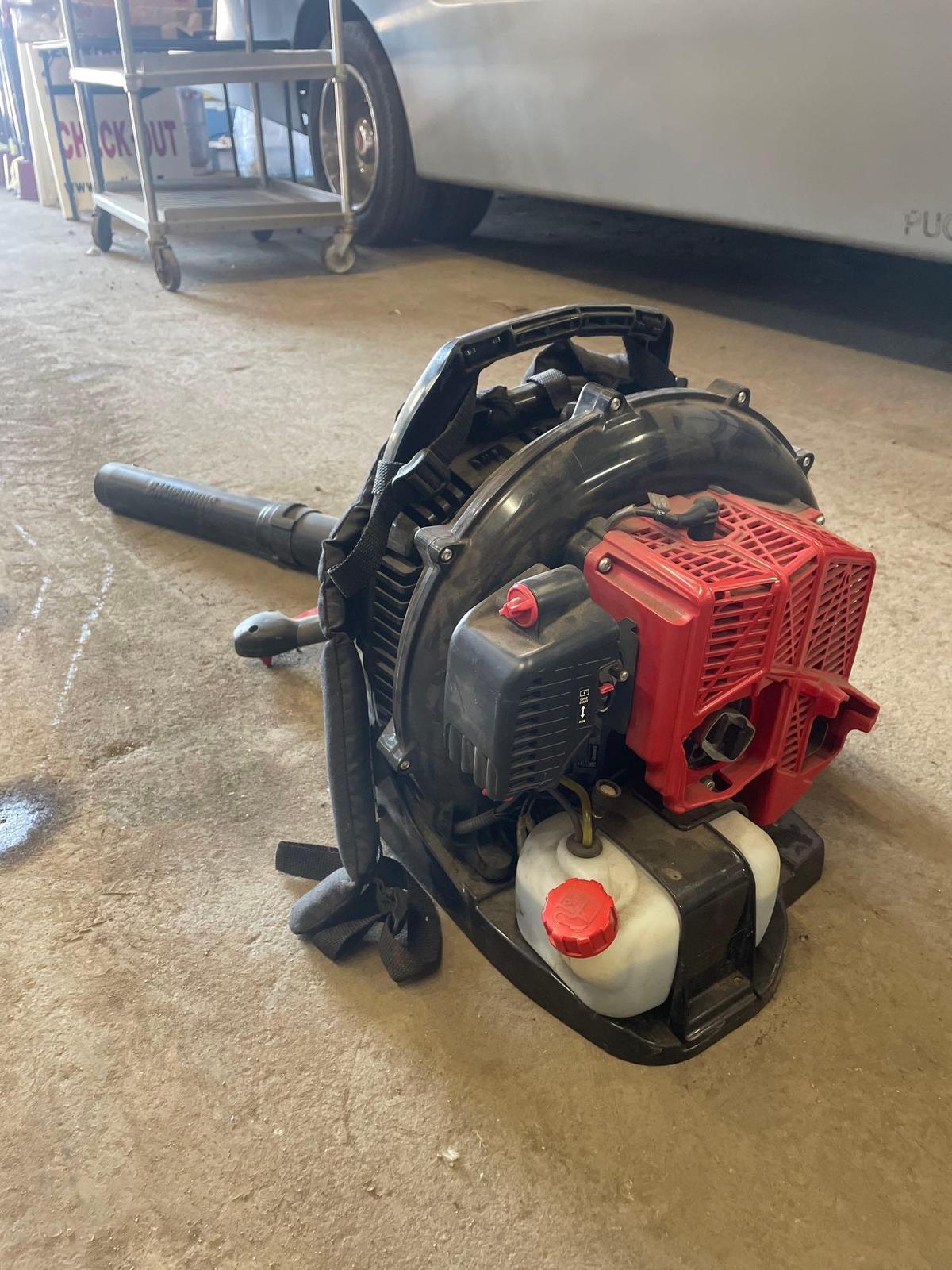 Shindawa Backpack Blower