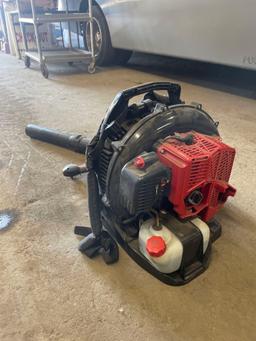 Shindawa Backpack Blower