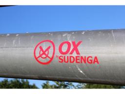 2019 Sudenga OX 10 In. x36 Ft. Auger