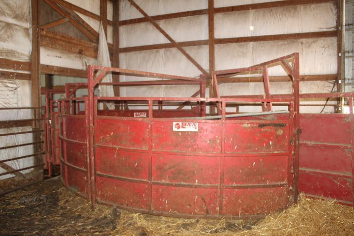 Linn Cattle Working Chute w/Manual/Automatic Headgate w/Alley & Load Chute
