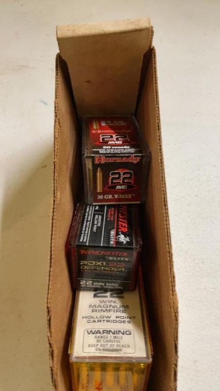 22 MAG ammo