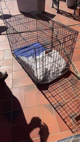 2-door Dog Crate