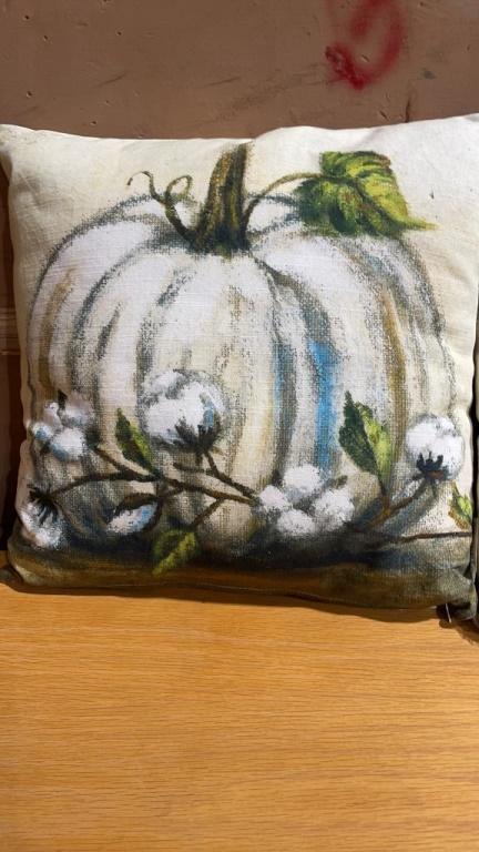 2 new decorative pillows