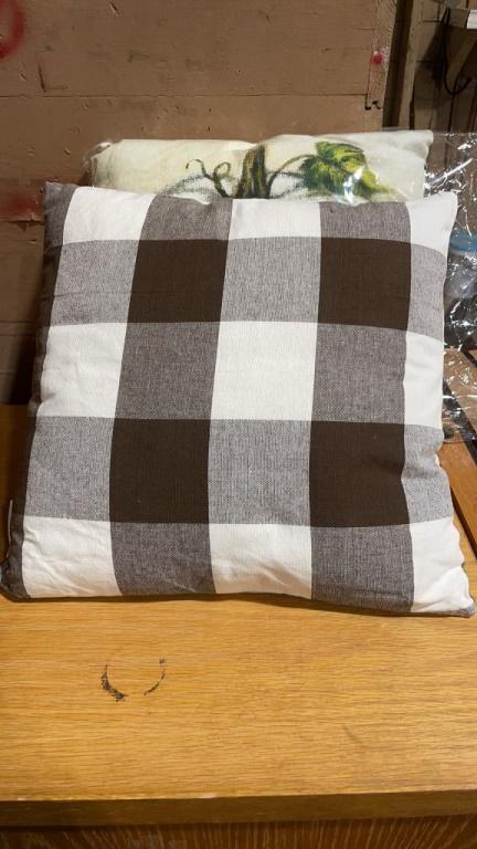 2 new decorative pillows