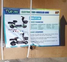 FT-E48 Electric Bicycle