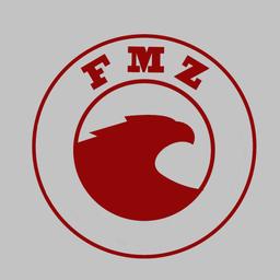 FMZ LLC