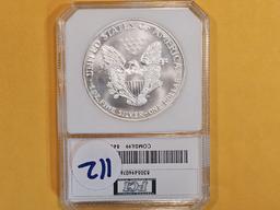 PCI 1999 American Silver Eagle
