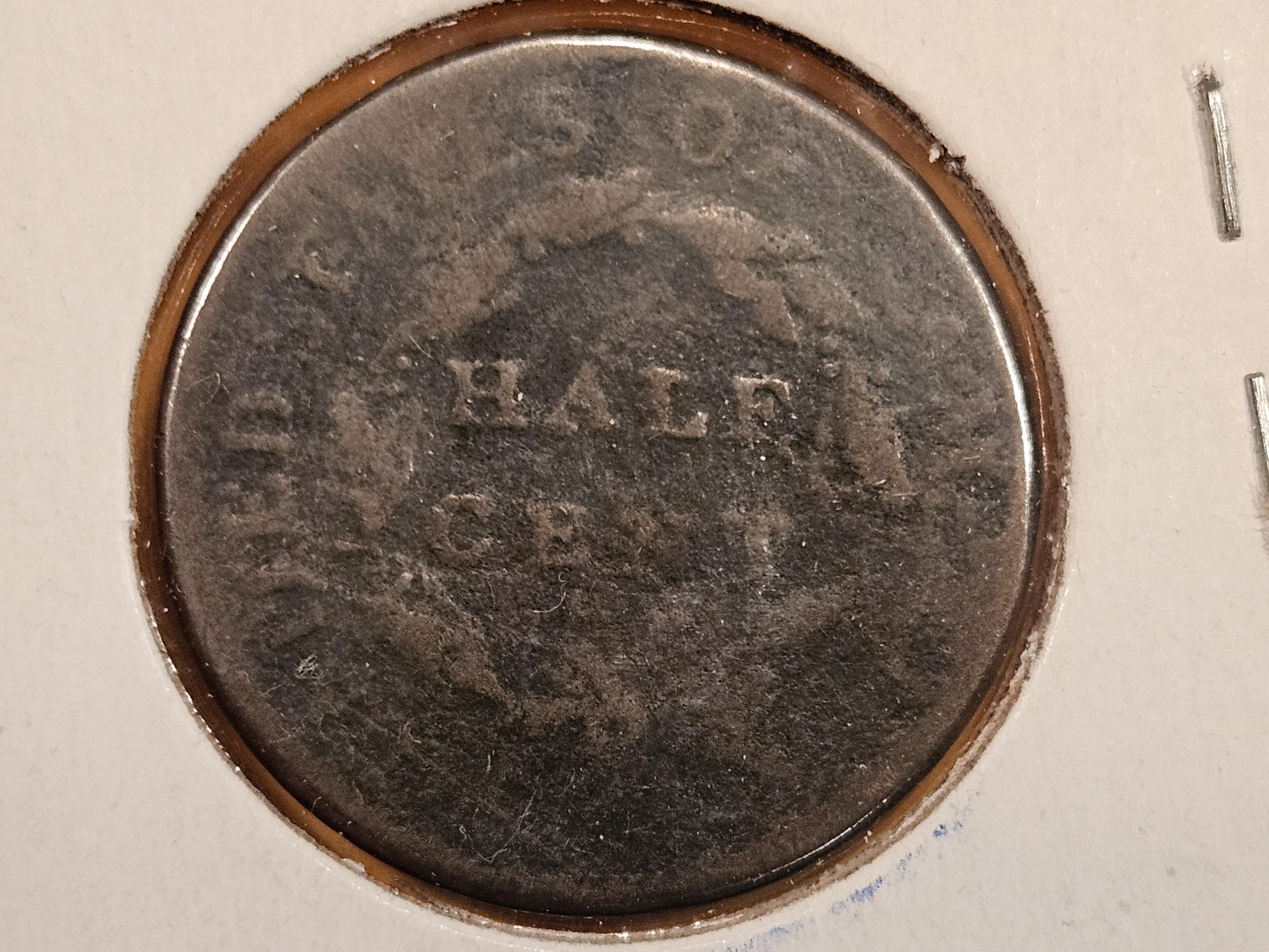 1809 Draped Bust Half Cent