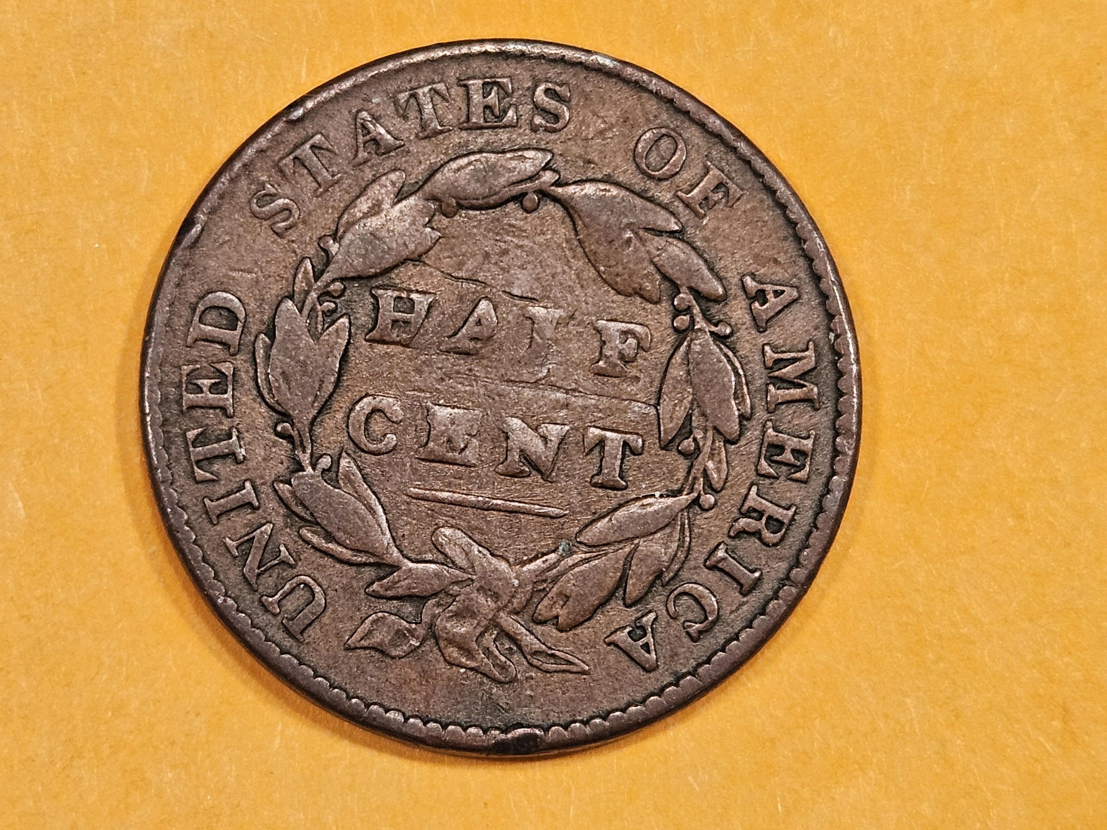 1828 Classic Head Half Cent in Fine