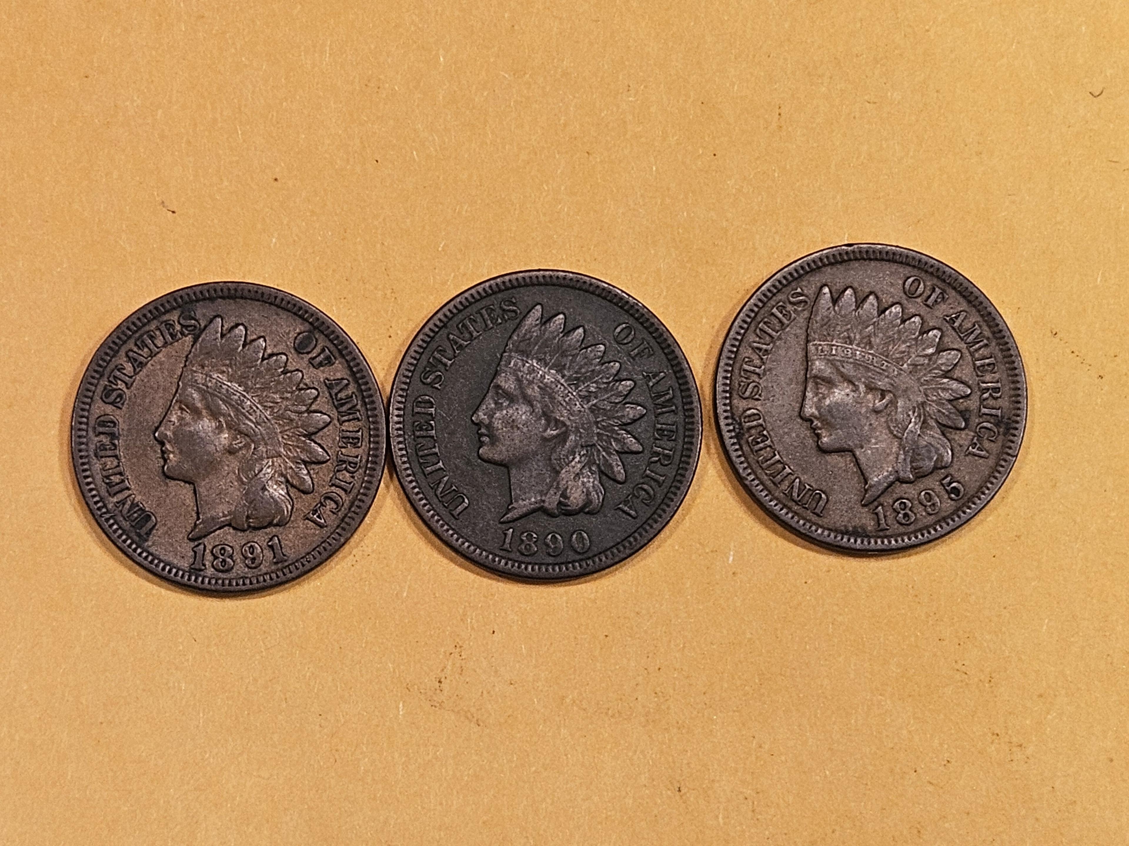 Three Indian Cents in VF to Extra Fine