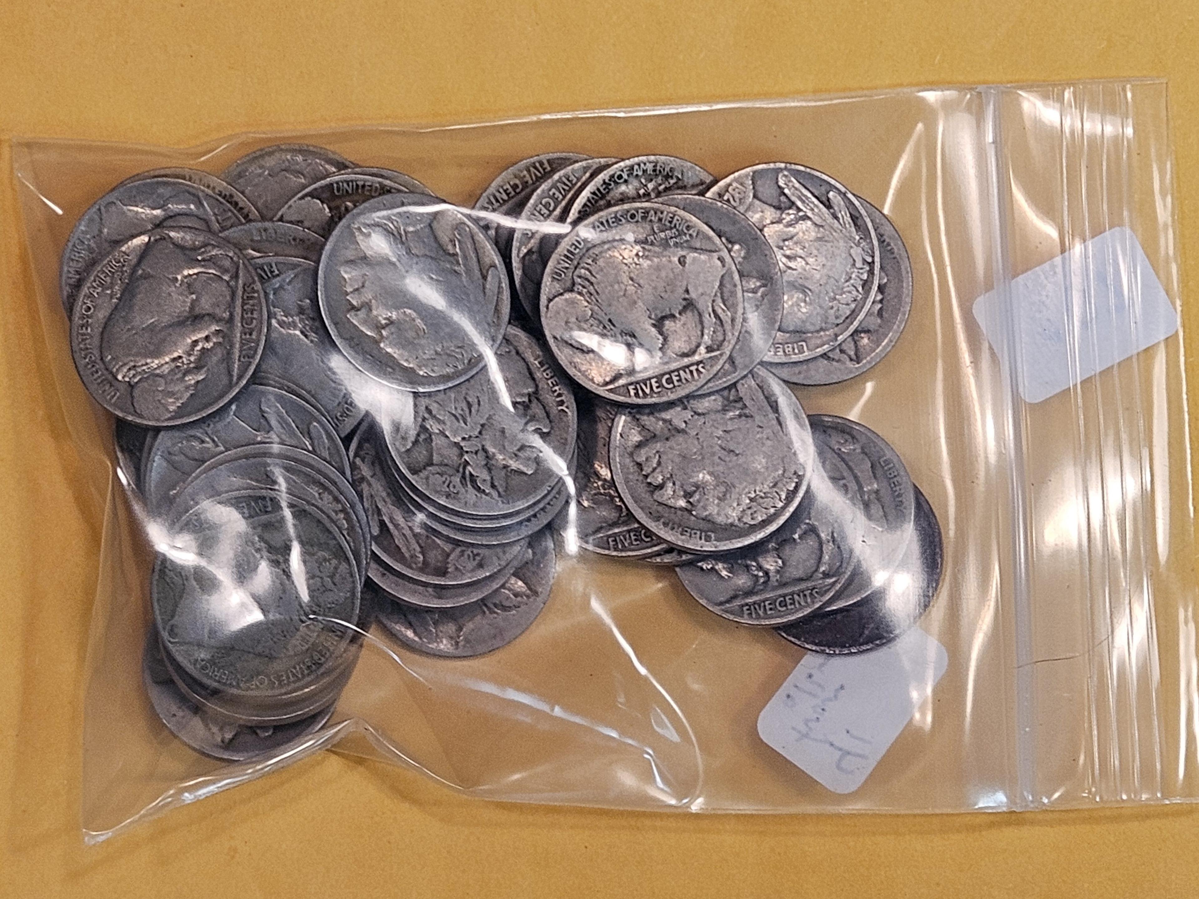 Bag of Forty-one Buffalo Nickels