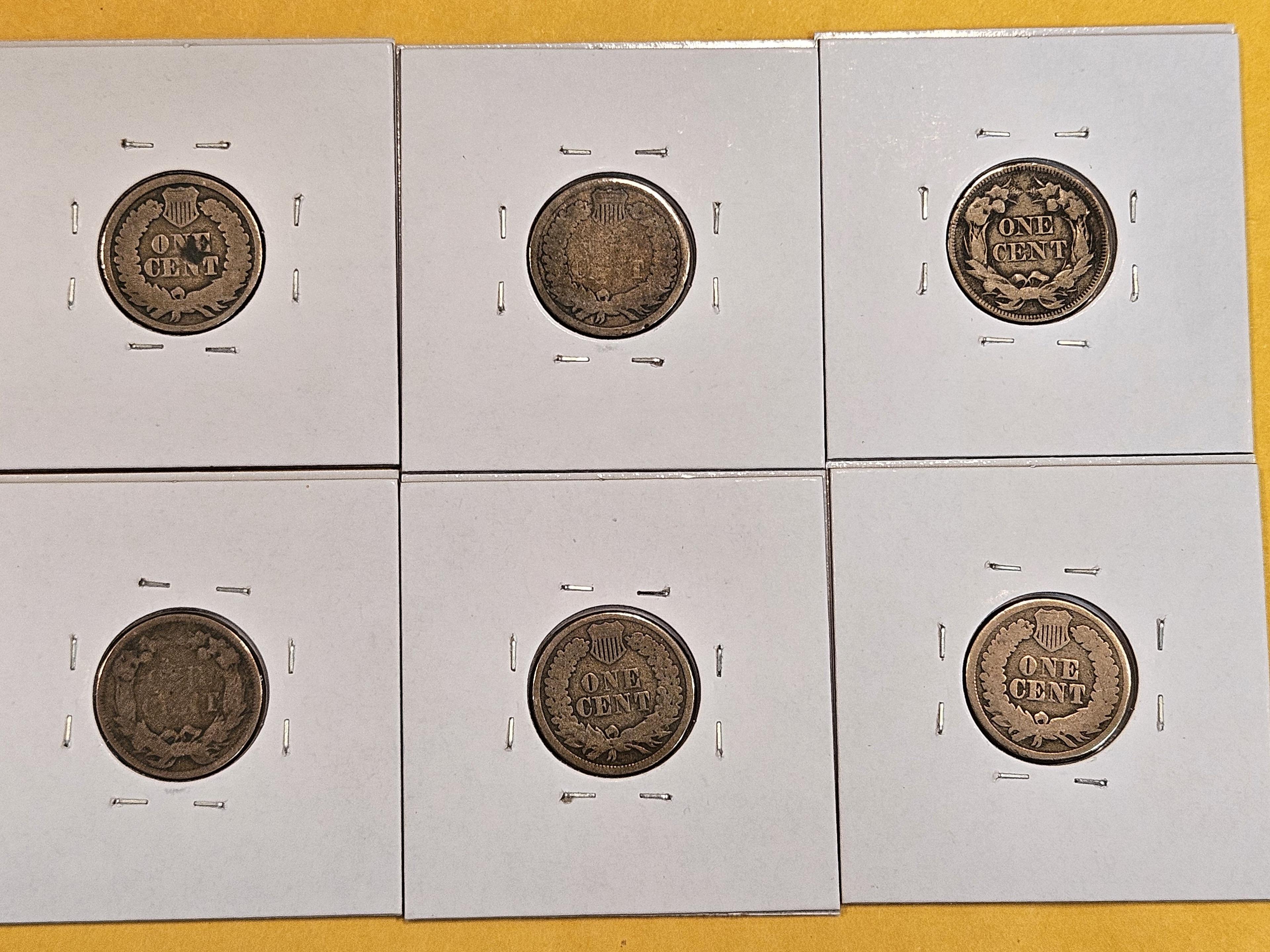 Six early Indian and Flying Eagle Cents