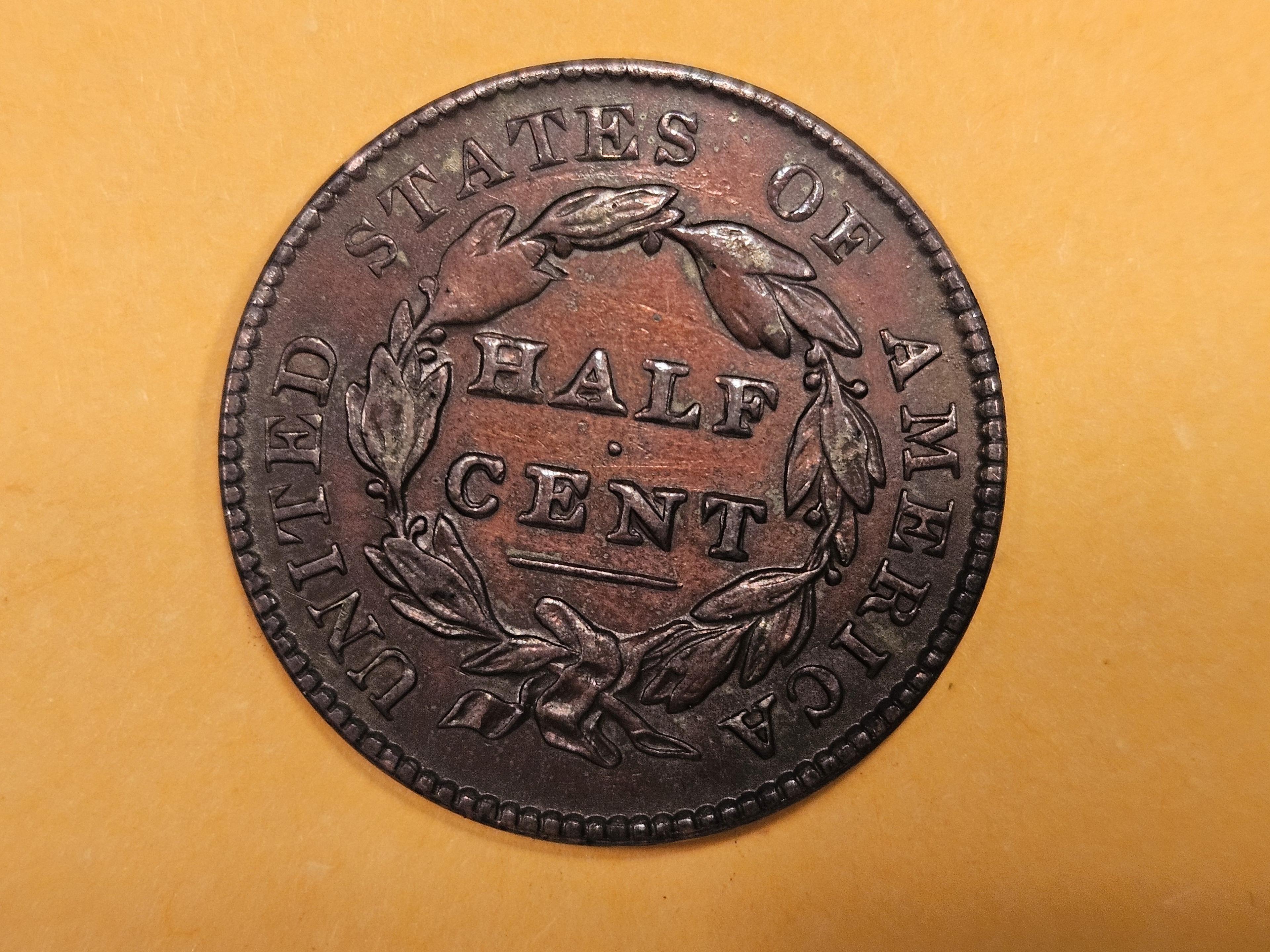 * 1828 Classic Head Half Cent in Extra Fine plus