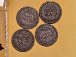 Four better date Indian Cents