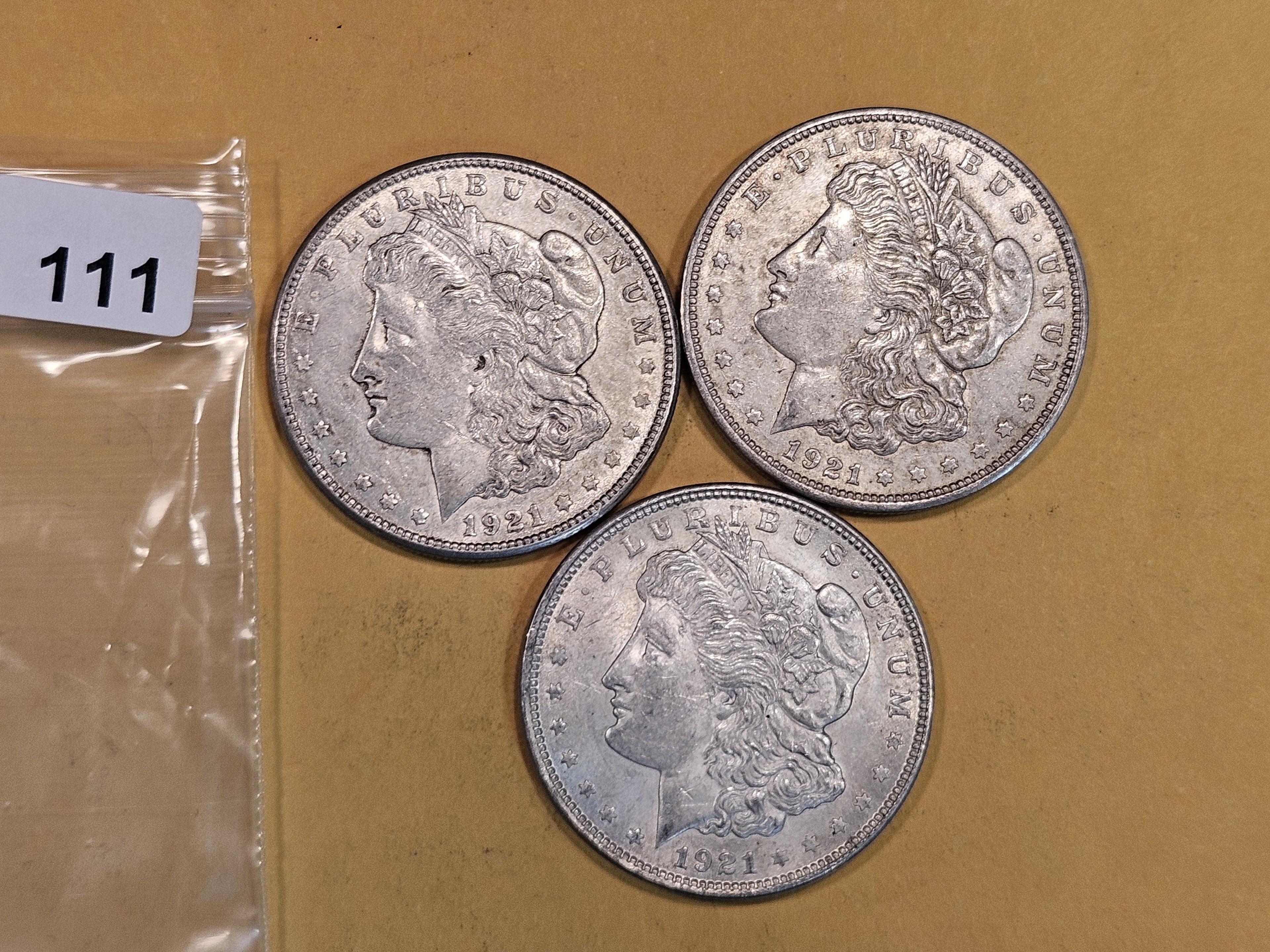 Three 1921 Morgan Silver dollars