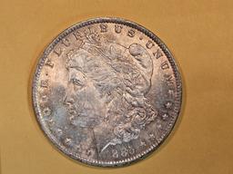 Choice Brilliant Uncirculated 1885-O Morgan Dollar