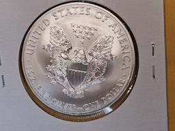 GEM Brilliant Uncirculated 2013 American Silver Eagle