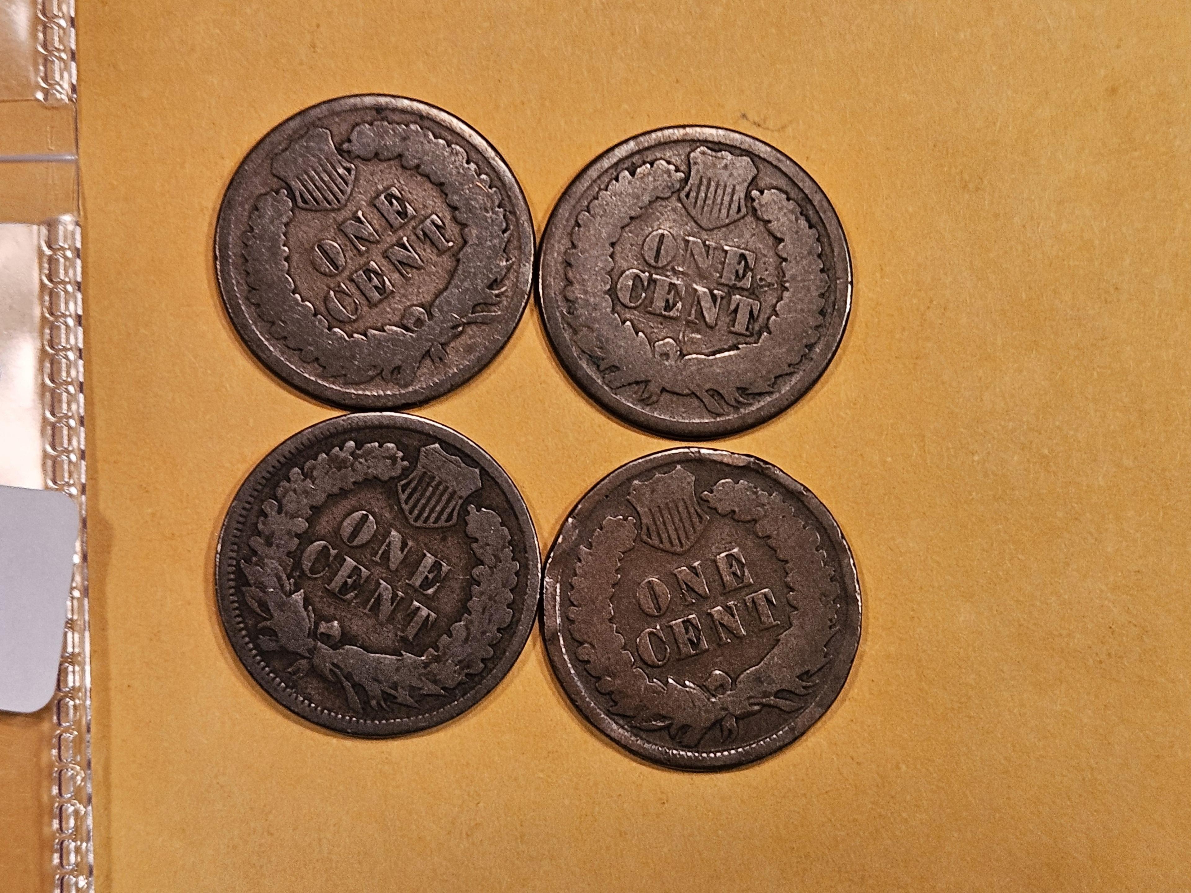 Four Better Date Indian Cents