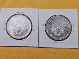 Two GEM Brilliant Uncirculated American Silver Eagles