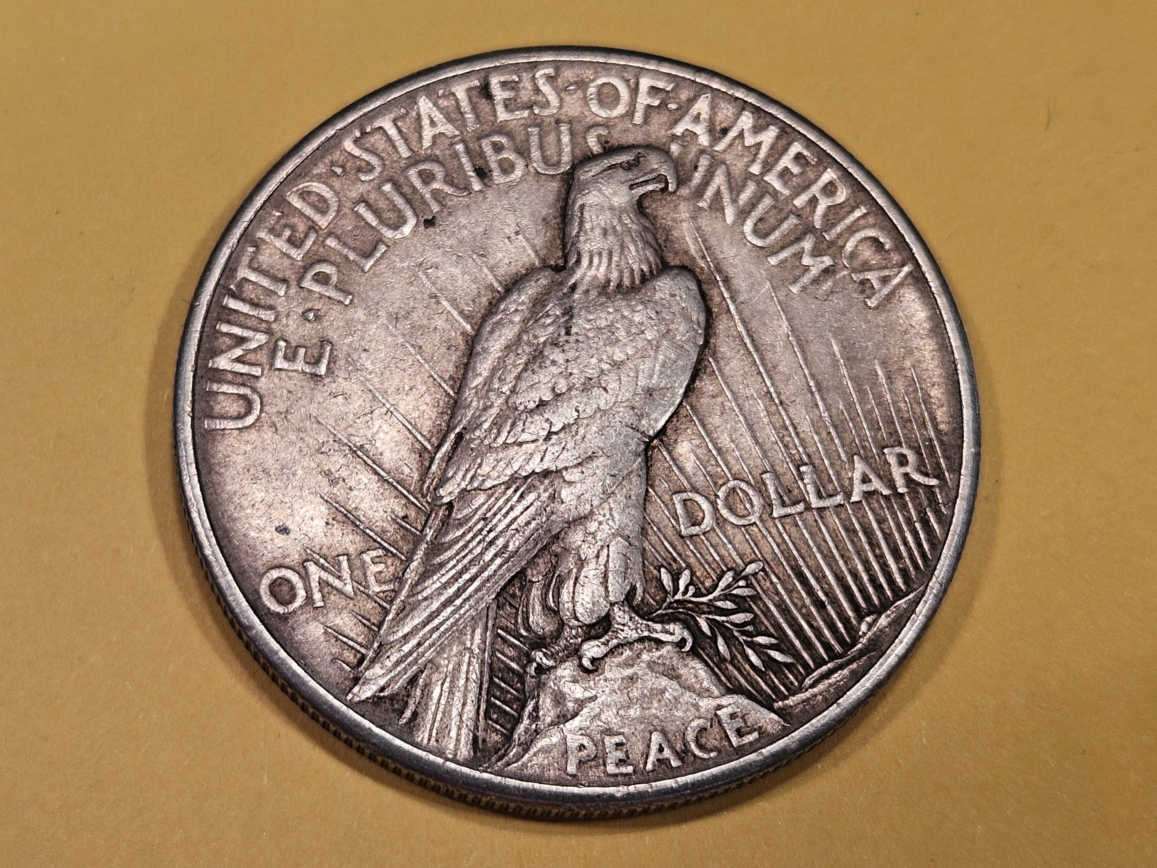 ** KEY DATE ** 1921 Peace Dollar in Extra Fine plus