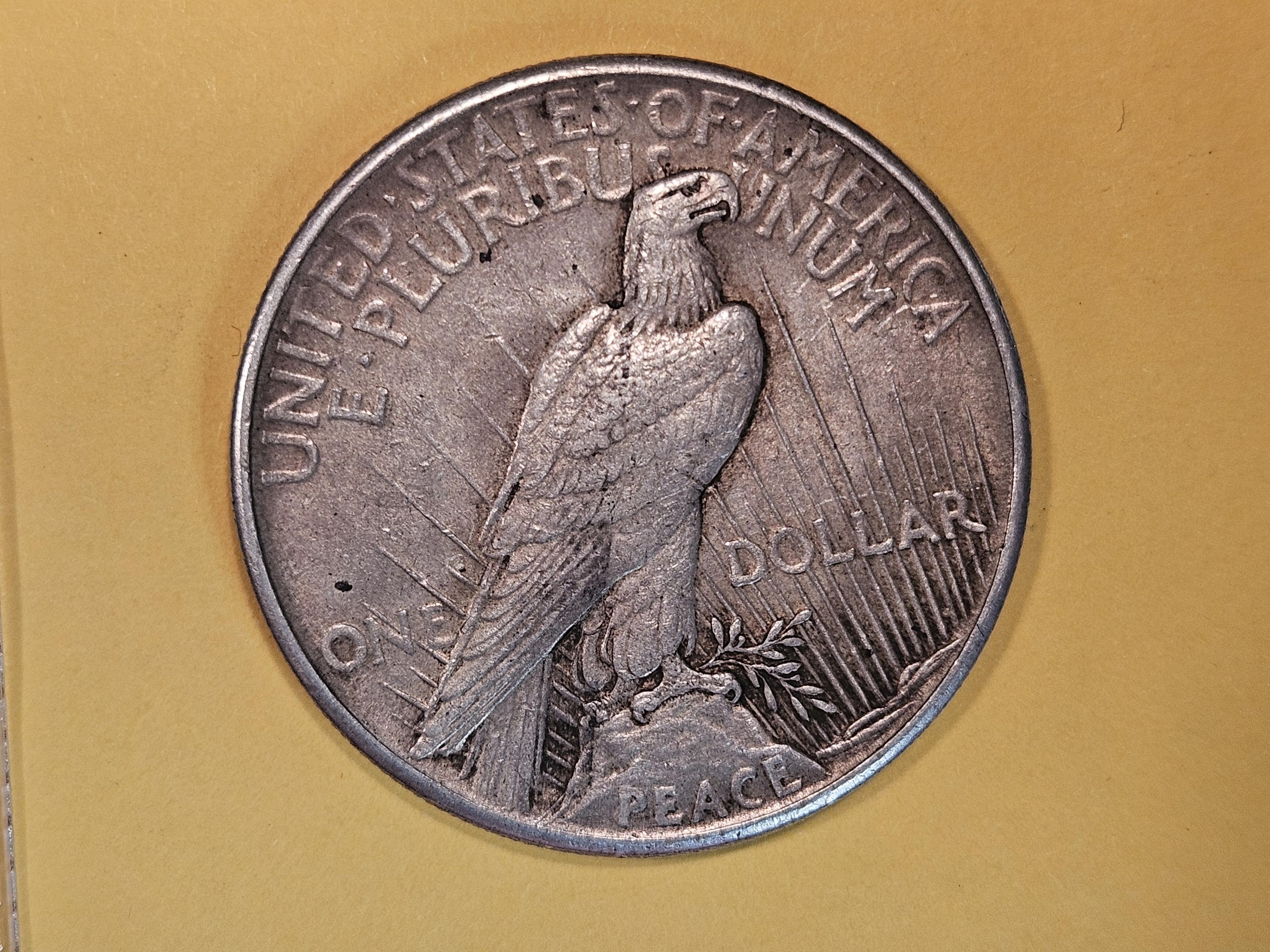 ** KEY DATE ** 1921 Peace Dollar in Extra Fine plus