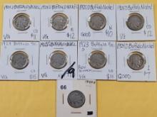 Nine Buffalo Nickels