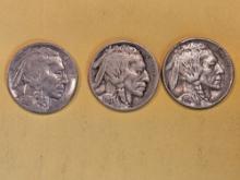 1915, 1916 and 1917 Buffalo Nickels