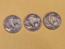 FULL Roll of 1938-D Buffalo Nickels