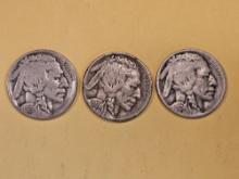 1924 P-D-S Buffalo Nickel Trio