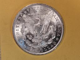 Choice Brilliant Uncirculated 1884-O Morgan Dollar