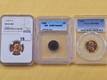 PCGS, NGC and ICG-graded Cents, Two Wheats and an Indian